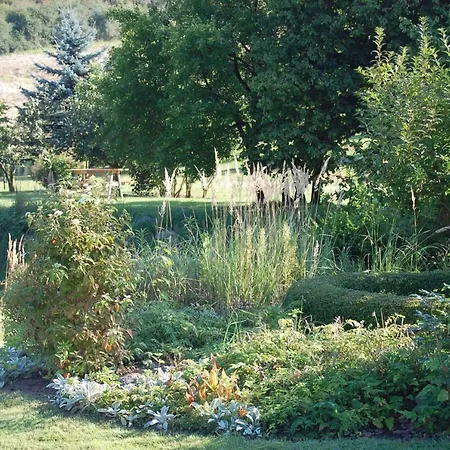 Spukwiese Neuhof (Satow)